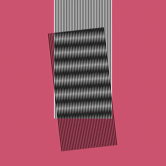 Hot Chip - Why Make Sense? (Vinyl LP)