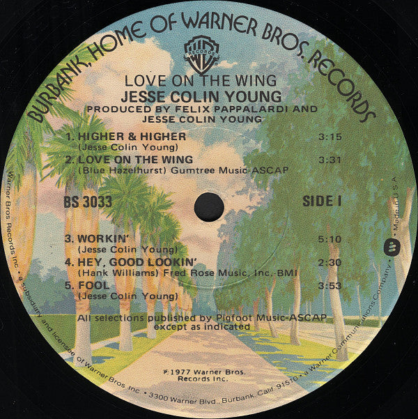 Young, Jesse Colin - Love On The Wing (VG+) (Vinyl LP)