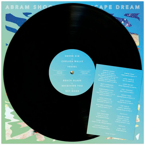 Shook, Abram - Landscape Dream (VG+) (Vinyl LP)