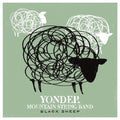 Yonder Mountain String Band - Black Sheep (M) (Vinyl LP)