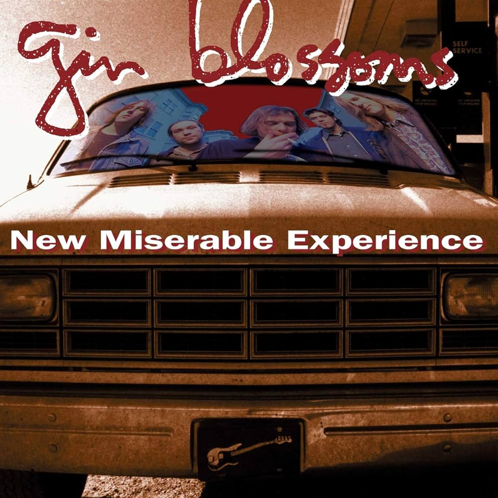 Gin Blossoms - New Miserable Experience (Vinyl LP)