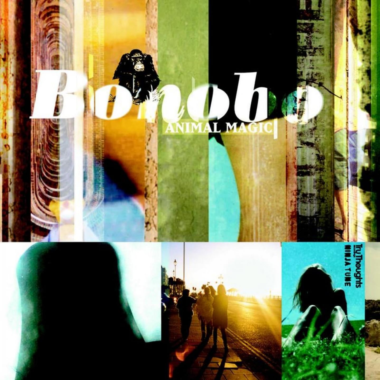 Bonobo - Animal Magic (Vinyl LP)