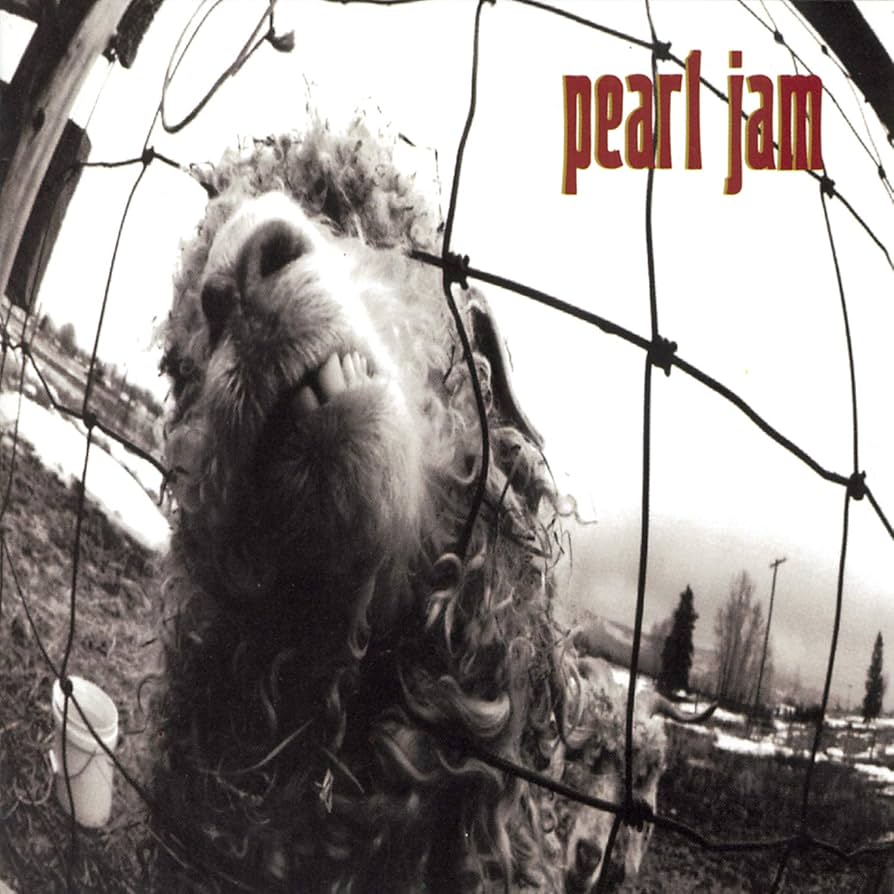 Pearl Jam - Vs (Vinyl LP)