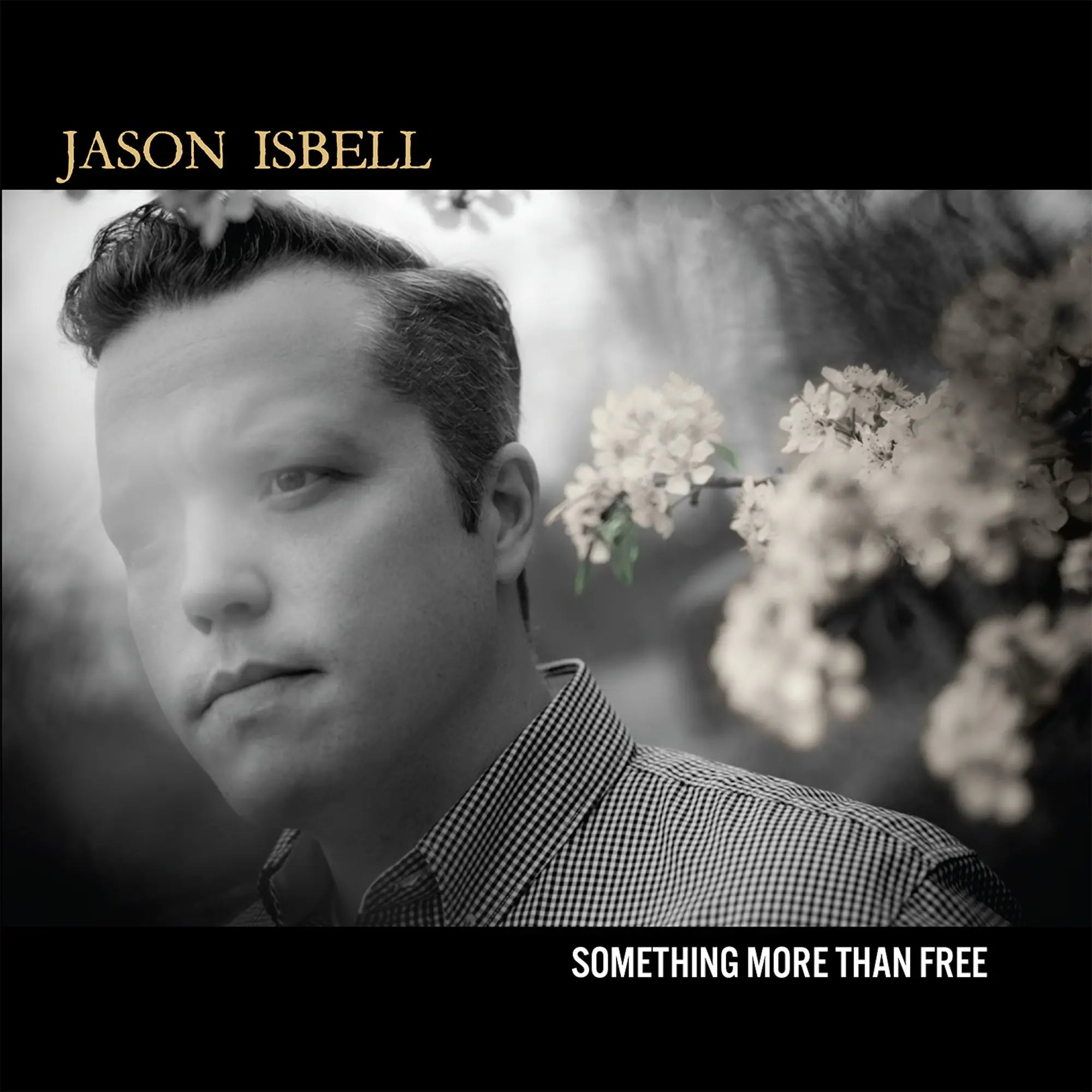 Isbell, Jason - Something More Than Free (Vinyl LP)