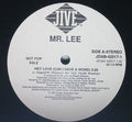 Mr. Lee - Hey Love (Can I Have A Word) (VG+) (Vinyl LP)