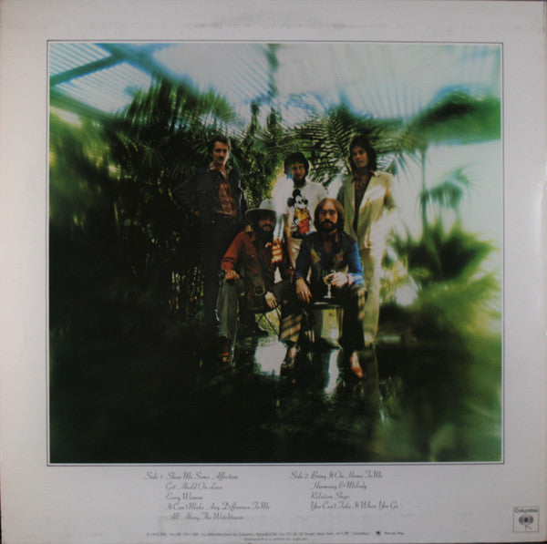 Mason, Dave - Dave Mason (Vinyl, VG+) (Vinyl LP)