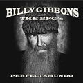 Gibbons, Billy and The BFG's - Perfectamundo (Vinyl, VG+) (Vinyl LP)