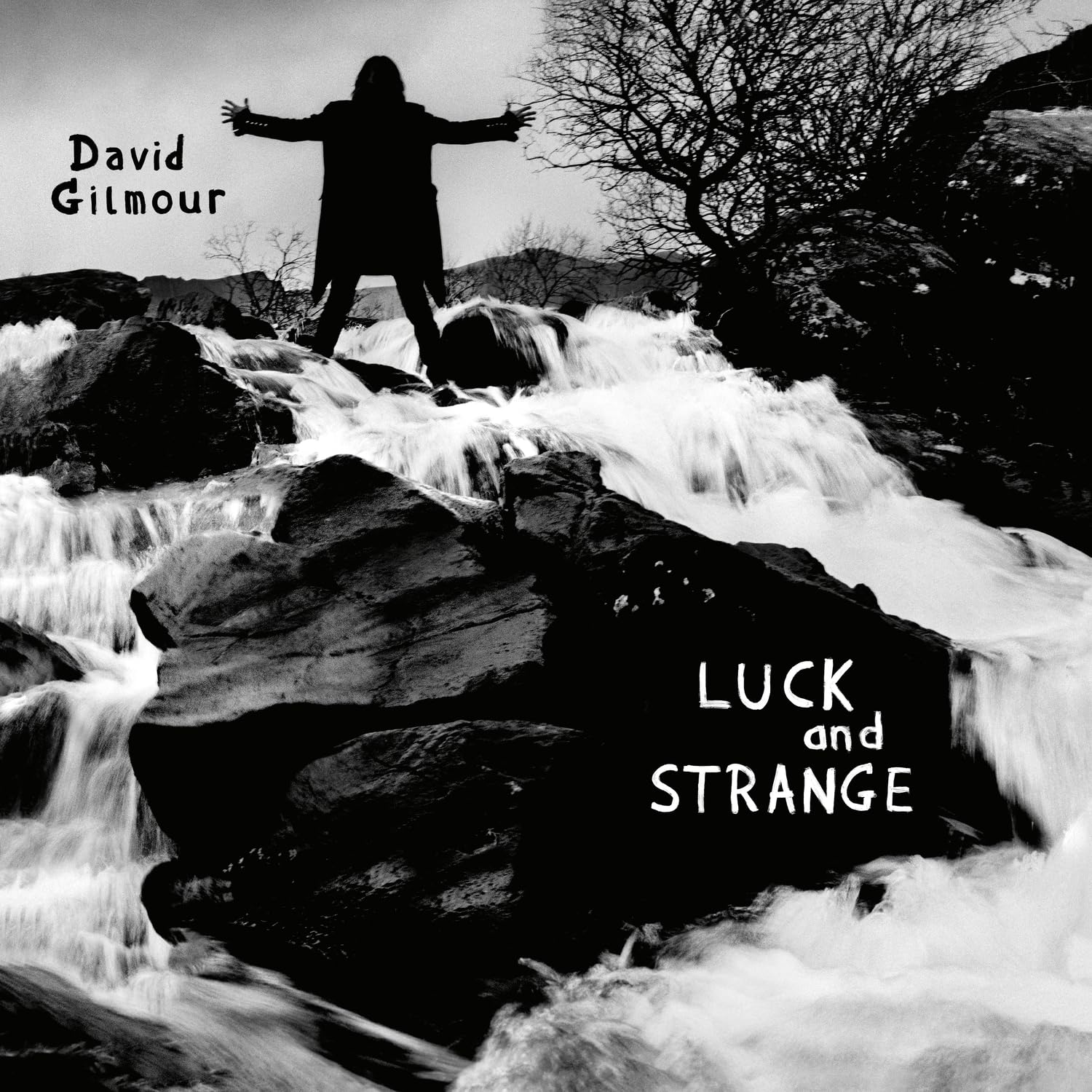 Gilmour, David - Luck And Strange (Vinyl LP)
