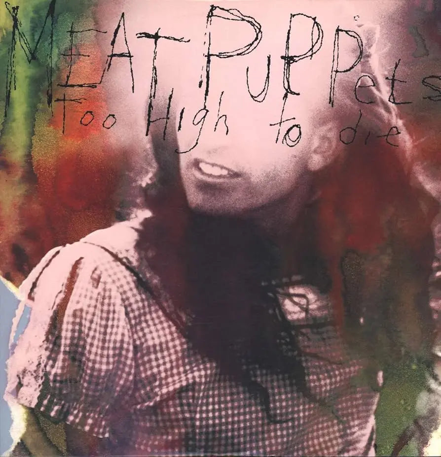 Meat Puppets - Too High To Die (Vinyl LP)