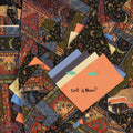 Animal Collective - Isn't it Now? (Vinyl LP)