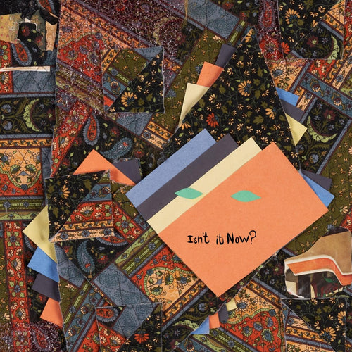 Animal Collective - Isn't it Now? (Vinyl LP)