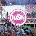 Lush - Lovelife (Vinyl LP)