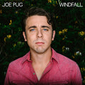Pug, Joe - Windfall (Vinyl LP)