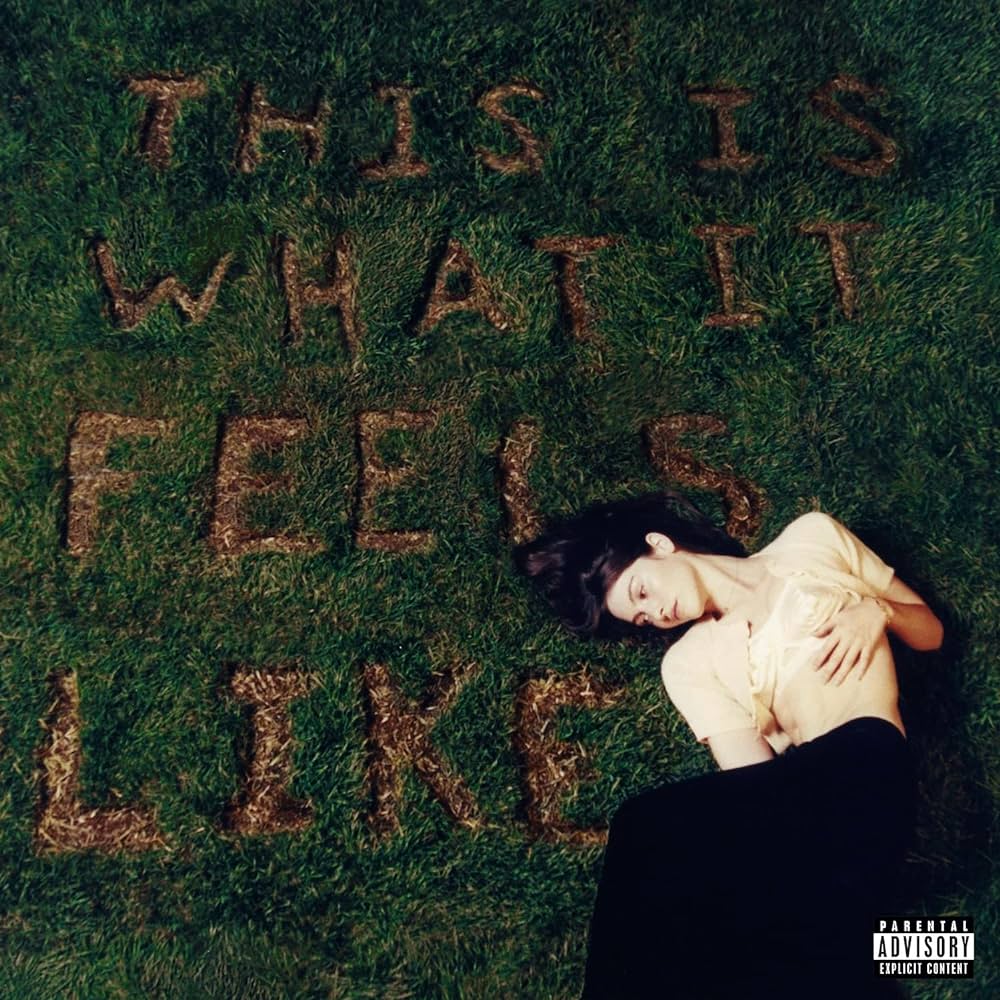 Abrams, Gracie - This Is What It Feels Like (Vinyl LP)
