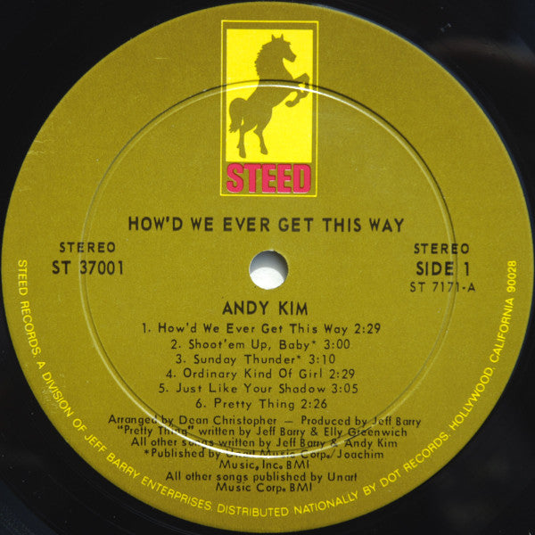 Kim, Andy - How'd We Ever Get This Way (VG+) (Vinyl LP)