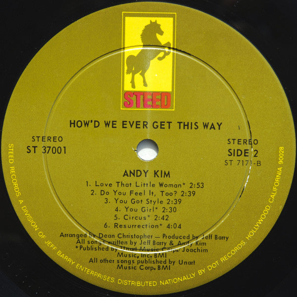 Kim, Andy - How'd We Ever Get This Way (VG+) (Vinyl LP)