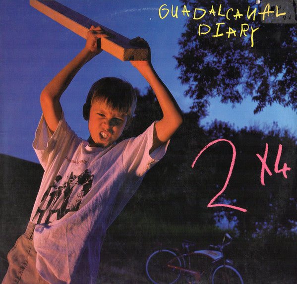 Guadalcanal Diary - 2 X 4 (VG+) (Vinyl LP)