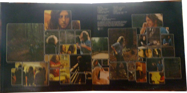 Michaels, Lee - Barrel (VG+) (Vinyl LP)
