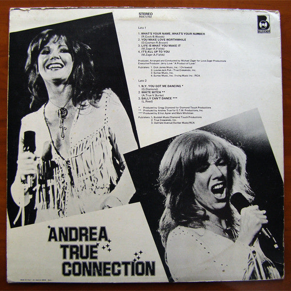 True, Andrea Connection - What's Your Name, What's Your Number (VG+) (Vinyl LP)