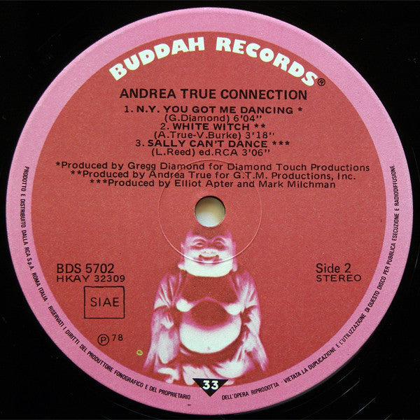 True, Andrea Connection - What's Your Name, What's Your Number (VG+) (Vinyl LP)