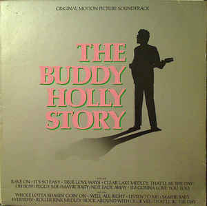 The Buddy Holly Story - Busey, Gary (Vinyl, VG+) (Vinyl LP)
