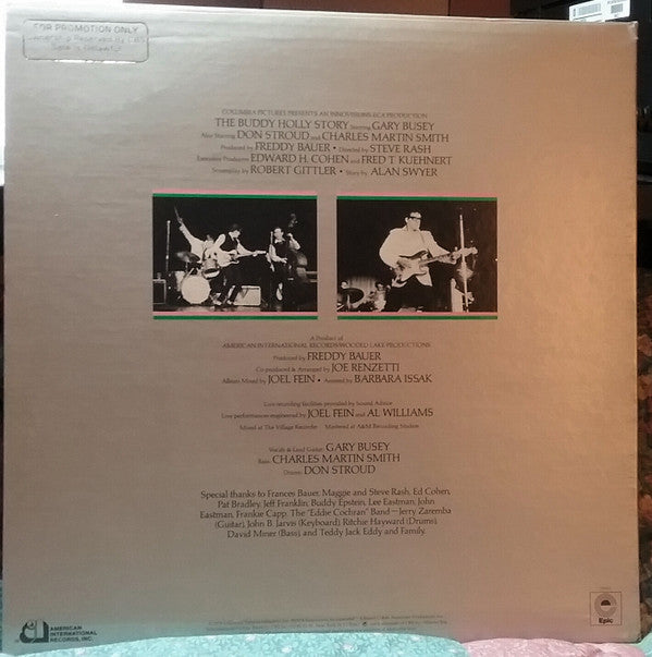 The Buddy Holly Story - Busey, Gary (Vinyl, VG+) (Vinyl LP)