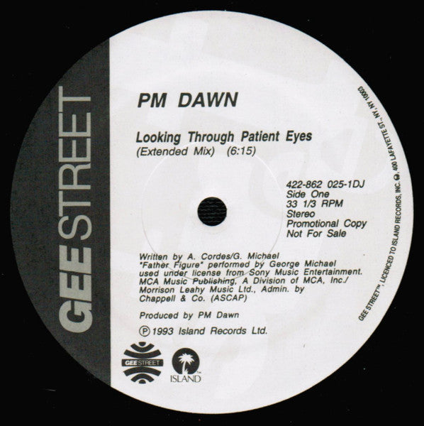 P.M. Dawn - Looking Through Patient Eyes (Vinyl, VG+) (Vinyl LP)