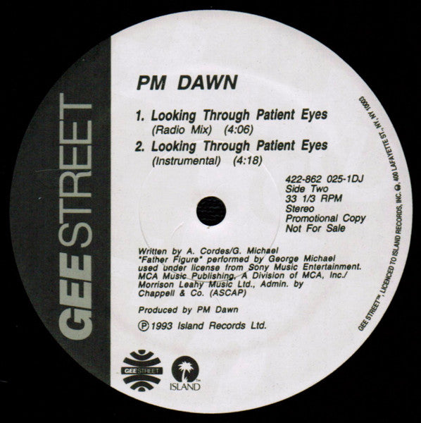 P.M. Dawn - Looking Through Patient Eyes (Vinyl, VG+) (Vinyl LP)