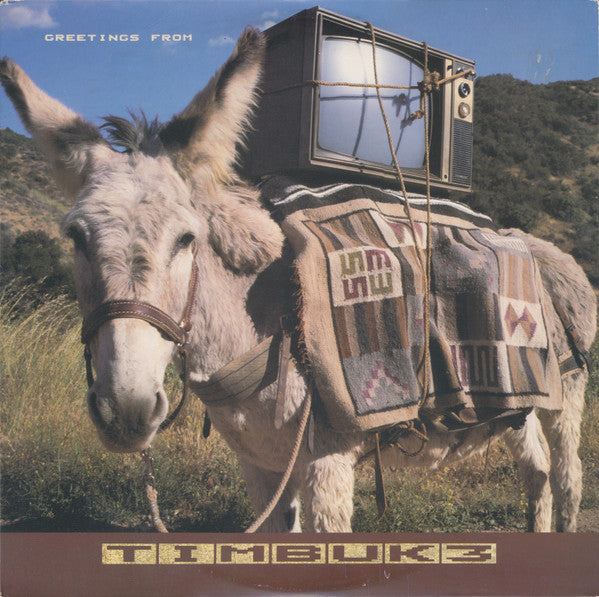 Timbuk 3 - Greetings From Timbuk 3 (NM or M-) (Vinyl LP)