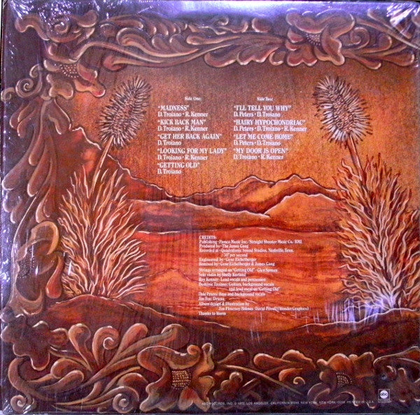 James Gang - Straight Shooter (VG) (Vinyl LP)