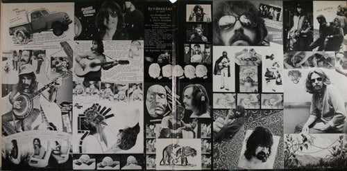 Byrds - Byrdmaniax (VG) (Vinyl LP)