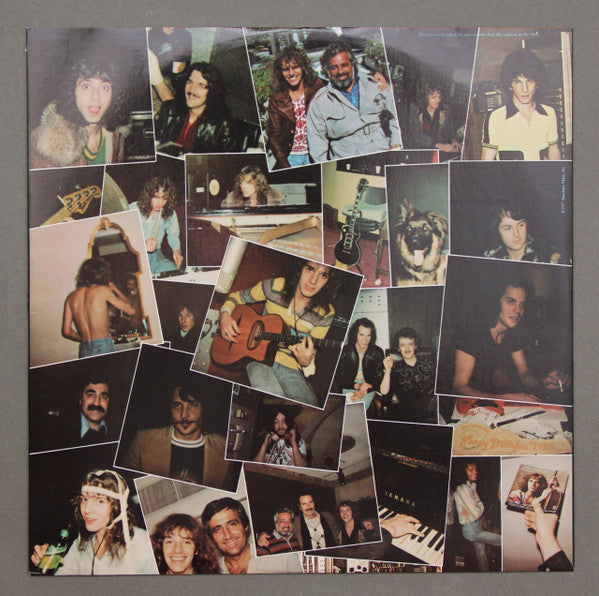 Frampton, Peter - I'm In You (Vinyl, VG+) (Vinyl LP)