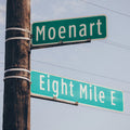 Tall Black Guy - 8 Miles To Moenart (10th Anniversary Vinyl) (Vinyl LP)