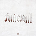 Lil Wayne - Funeral (Vinyl LP)