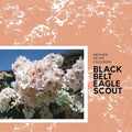 Black Belt Eagle Scout - Mother Of My Children (Vinyl LP)