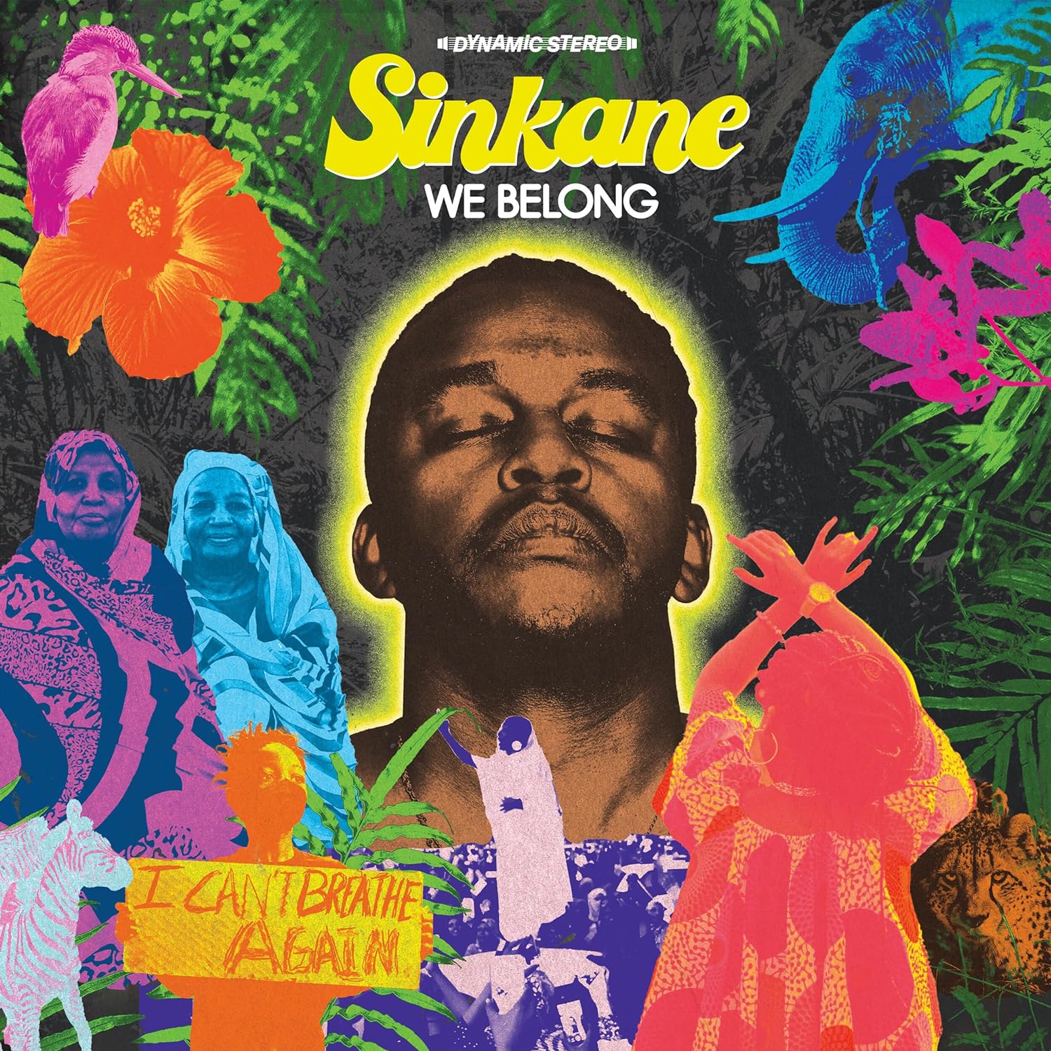 Sinkane - We Belong (Vinyl LP)