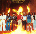 Lynyrd Skynyrd - Street Survivors (Vinyl LP)