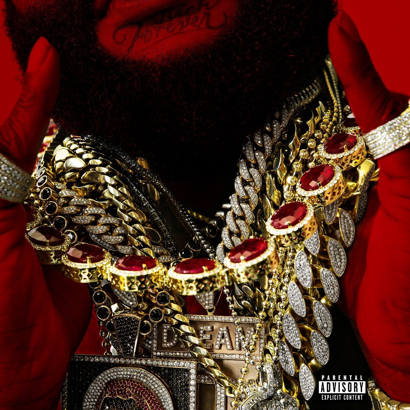 Rick Ross - Hood Billionaire (Vinyl LP)