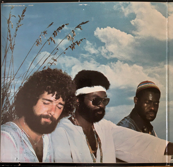 Sea Level - Sea Level (VG+) (Vinyl LP)