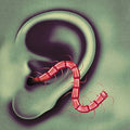 Oh Sees - An Odd Entrances (Vinyl LP)