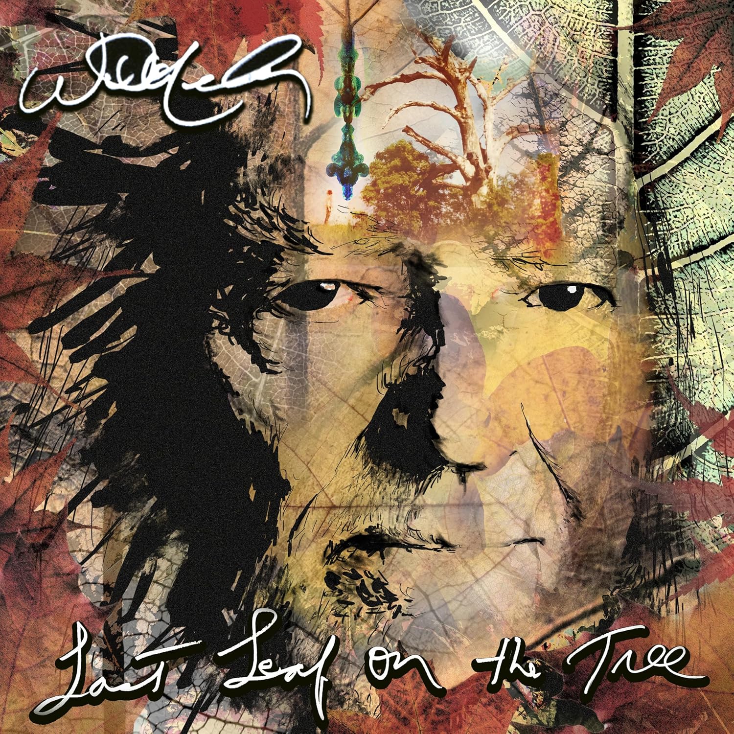 Nelson, Willie - Last Leaf On The Tree (Vinyl LP)