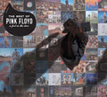 Pink Floyd - Best of Pink Floyd: A Foot in the Door (Vinyl LP)