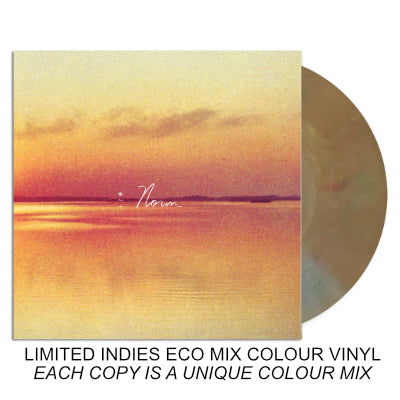 Shauf, Andy - Norm (Limited Indies Exclusive Eco Mix Gatefold Vinyl) (Vinyl LP)