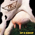Aerosmith - Get a Grip (Vinyl LP)