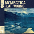 Flat Worms - Antarctica (Vinyl LP)