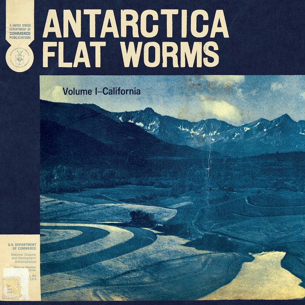 Flat Worms - Antarctica (Vinyl LP)