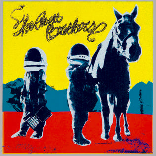 Avett Brothers - True Sadness (Vinyl LP)