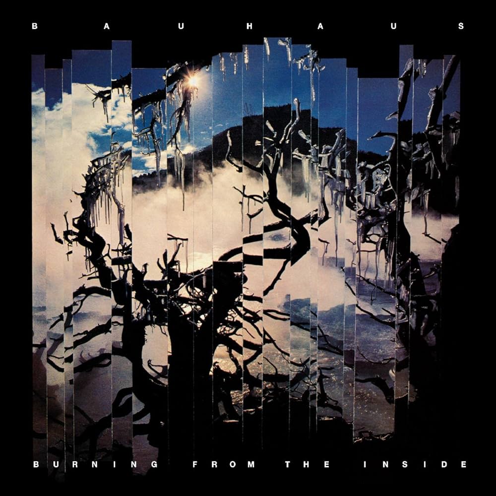 Bauhaus - Burning From the Inside (Vinyl LP)