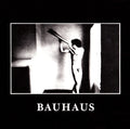 Bauhaus - In the Flat Field (Vinyl LP)