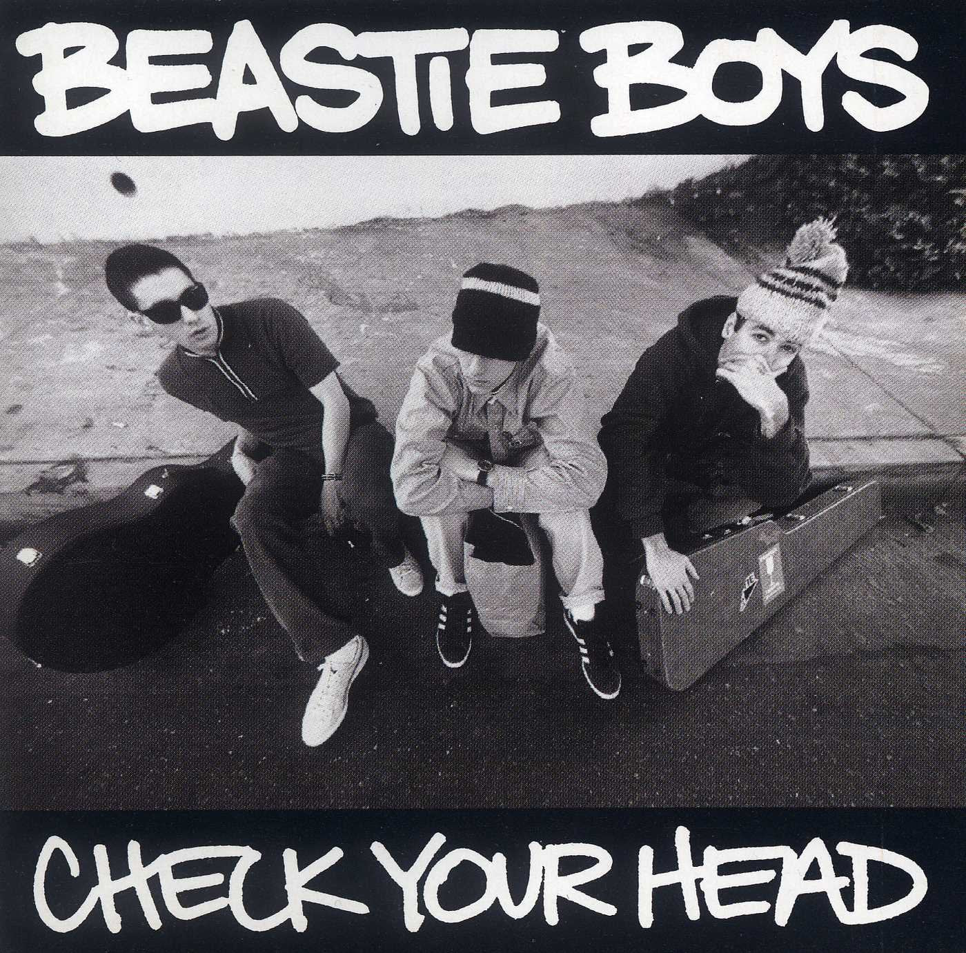 Beastie Boys - Check Your Head (Vinyl LP)